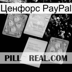 Ценфорс PayPal 33